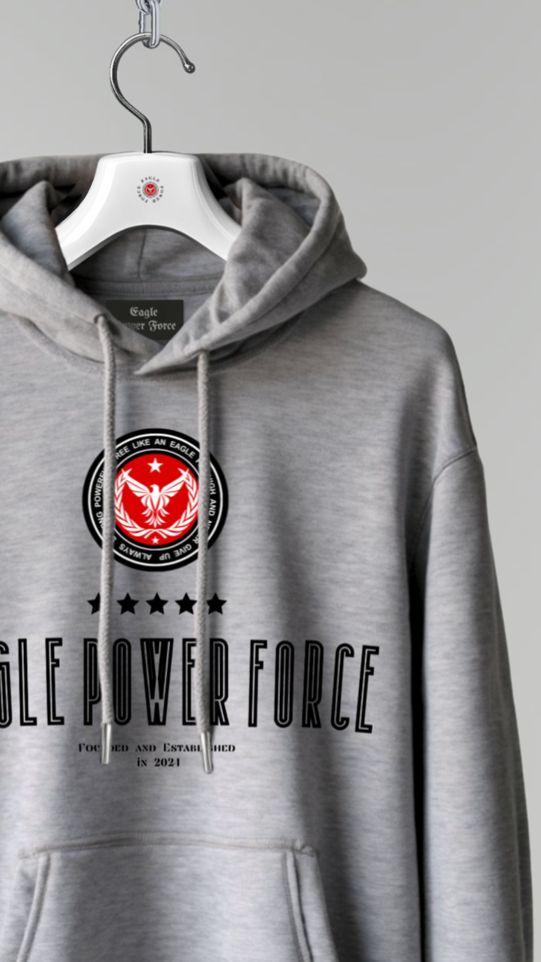 Hoodie Men's Gray Eagle Power Force