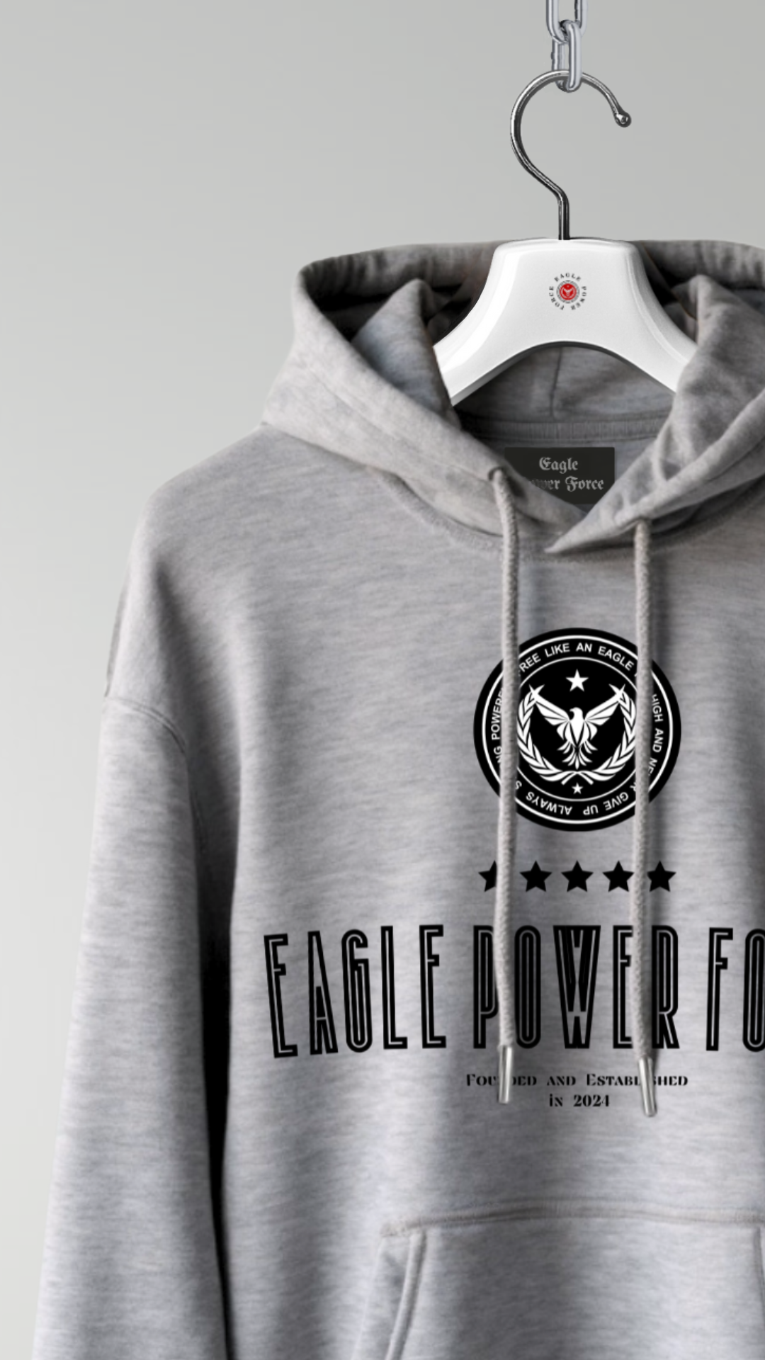 Hoodie Boy's gray Eagle Power Force