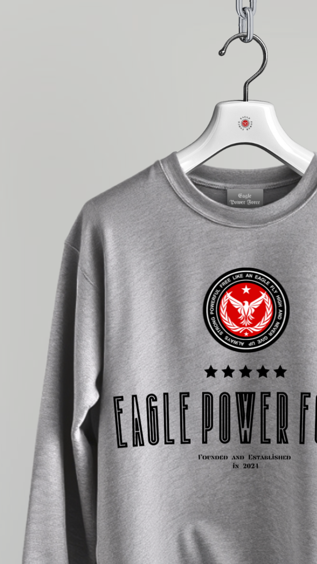 Sweatshirt Boy's gray Eagle Power Force