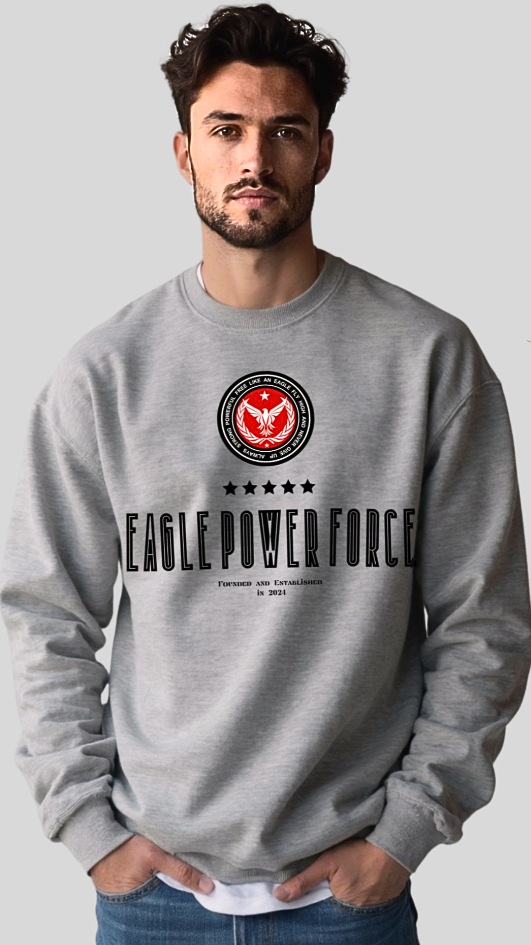 Sweatshirt Men's gray Eagle Power Force